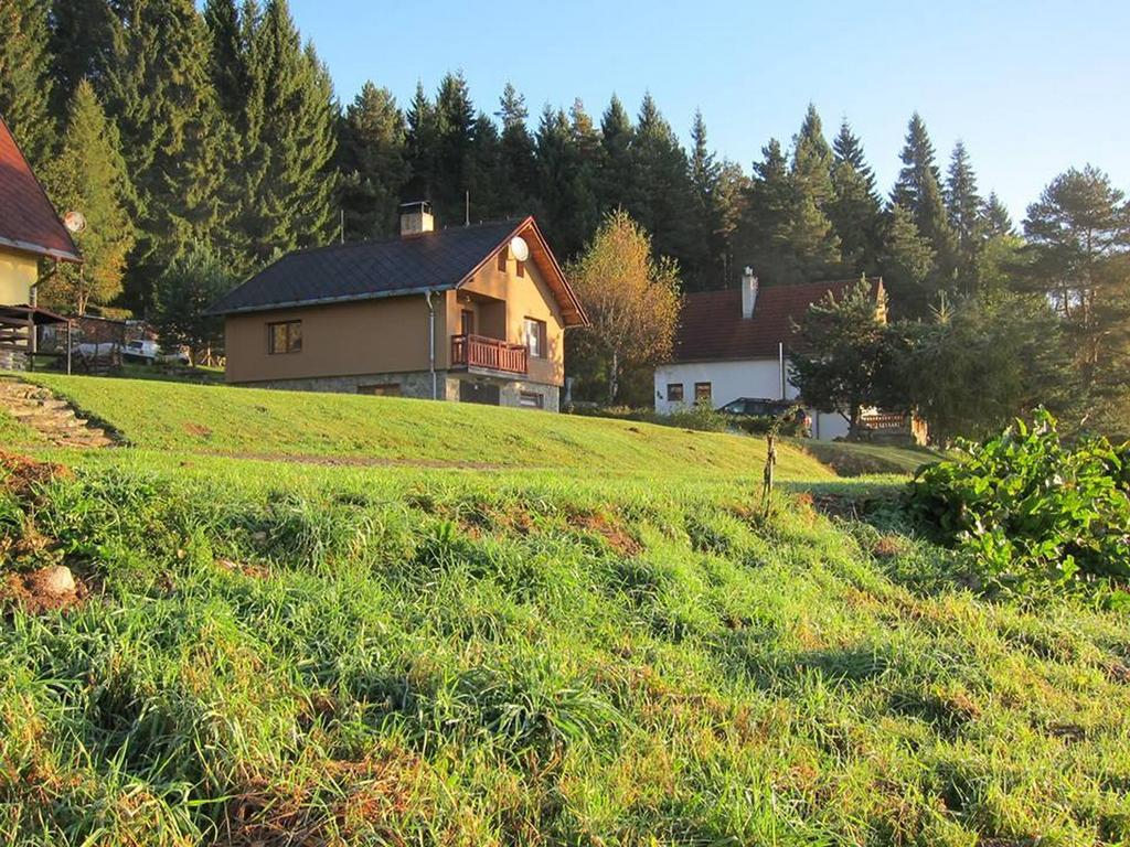Chata Ostruzina 10+2 Lipno nad Vltavou Buitenkant foto